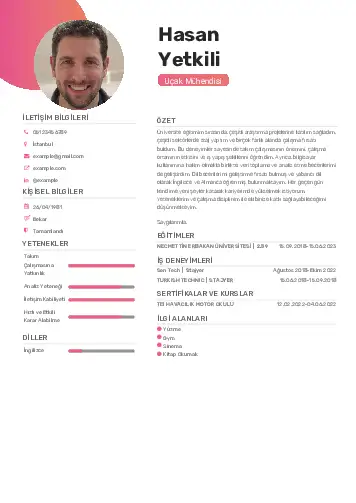 Havacılık Ve Uzay Uçak Mühendisi Cv Örnekleri cv indir